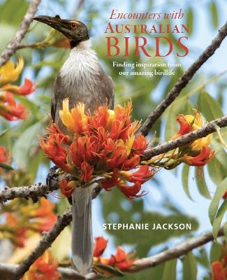 Encounters with Australian Birds: Finding inspirations from