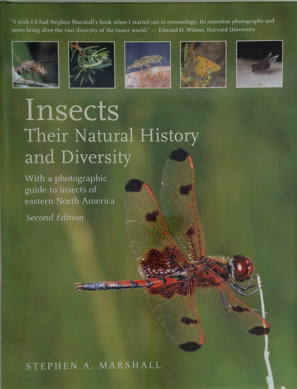 Insects: Their Natural History And Diversity; With A Photographic Guide To Insects Of Eastern North America, Second Edition