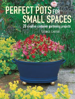 Perfect Pots for Small Spaces: 20 Creative Container Gardening