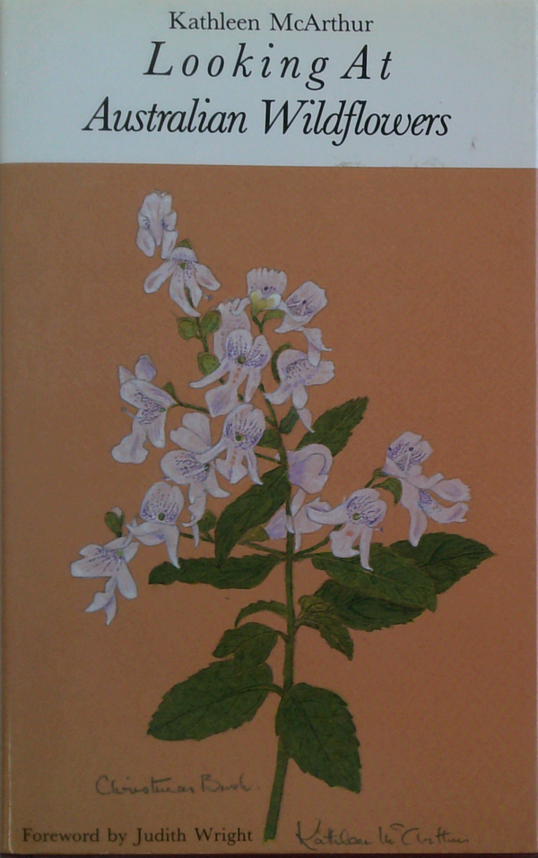 Looking At Australian Wildflowers
