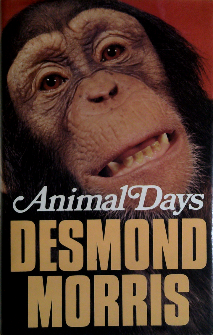Animal Days