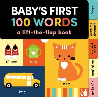 Baby's First 100 Words: A lift the flap book