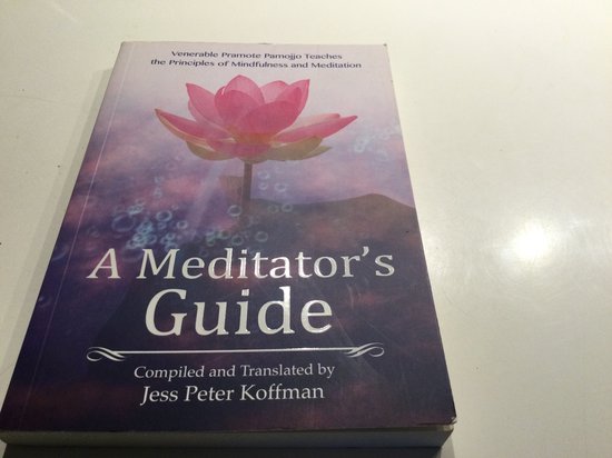 A Meditator's Guide