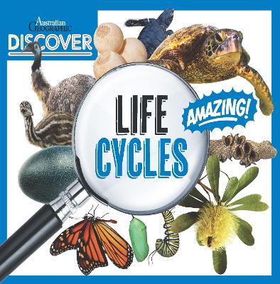 AG Discover: Life Cycle