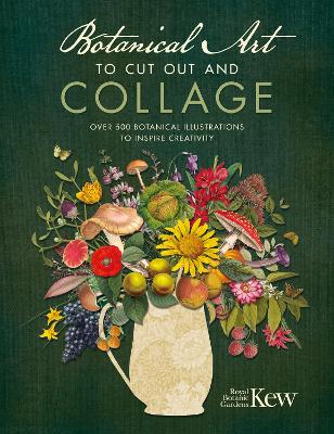 Botanical Art to Cut out and Collage: Over 500 Botanical Illustrations