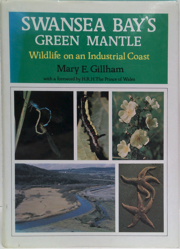 Swansea Bay's Green Mantle (SIGNED)