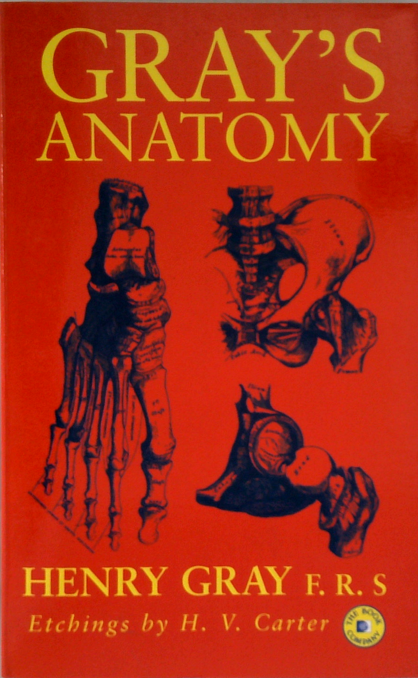 Anatomy: Descriptive And Surgical
