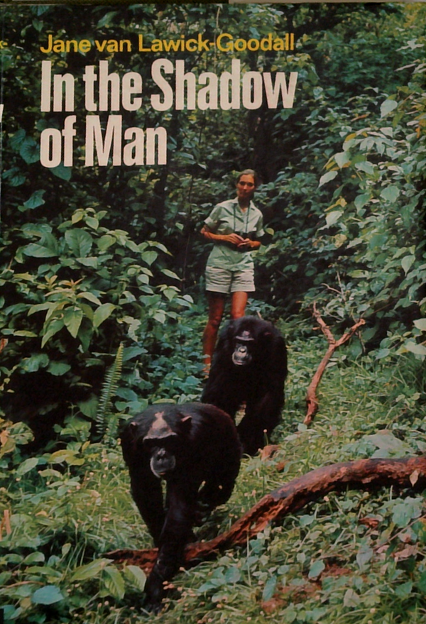 In The Shadow Of Man