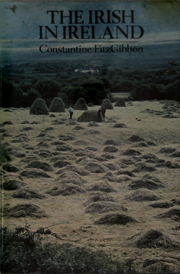 The Irish In Ireland