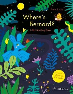 Where's Bernard?: A Bat Spotting Book