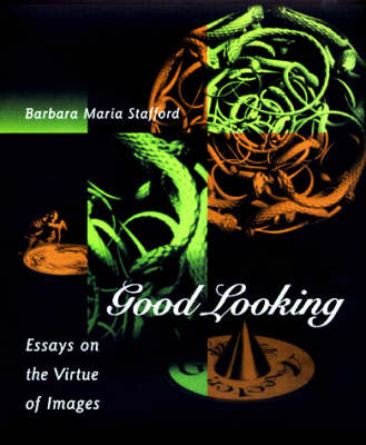 Good Looking: Essays on the Virtue of Images