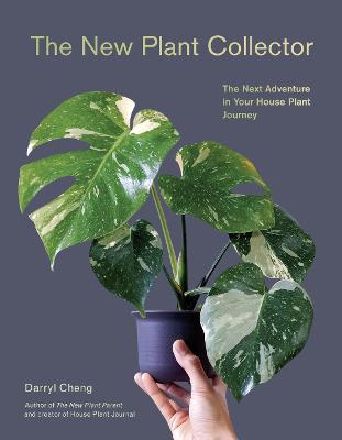 The New Plant Collector: The Next Adventure in Your House Plant