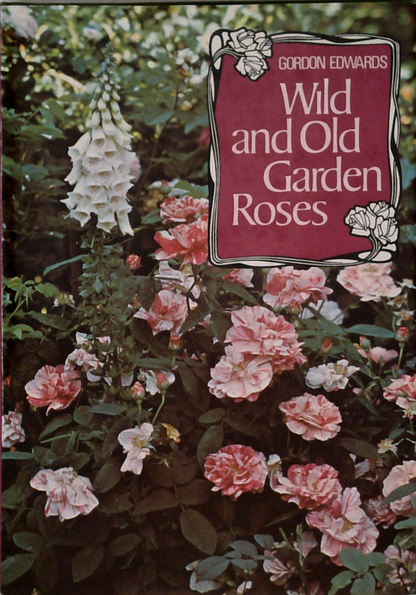 Wild And Old Garden Roses