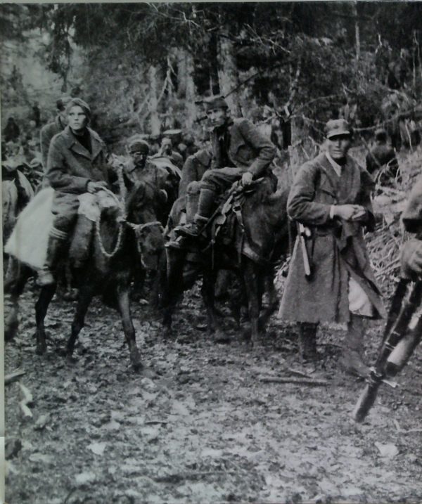 Partisans And Guerrillas