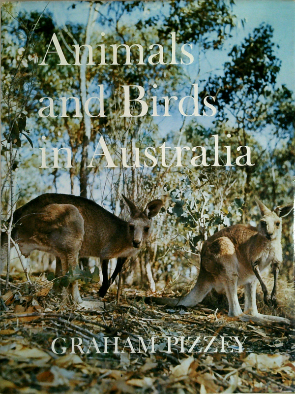 Animals And Birds In Australia