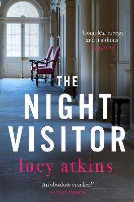 The Night Visitor: the gripping thriller from the author of Magpie