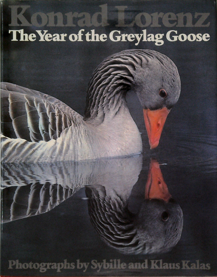 The Year Of The Greylag Goose