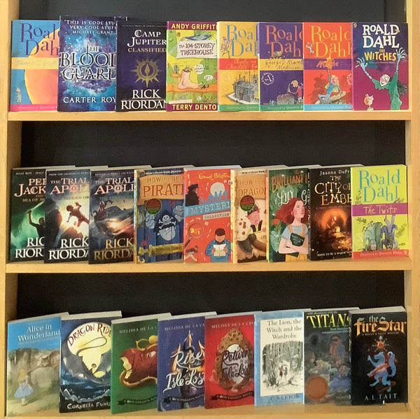 Secondhand Chapter Book (Age-8-12) Bargain Book Box (25 Books) DHS454