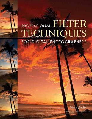 Professional Filter Techniques For Digital Photographers