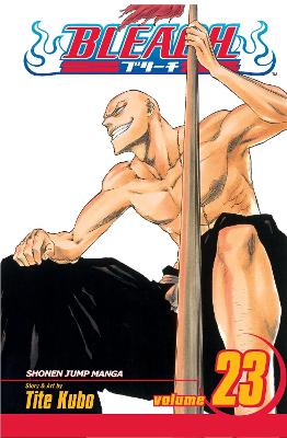 Bleach, Vol. 23: Volume 23