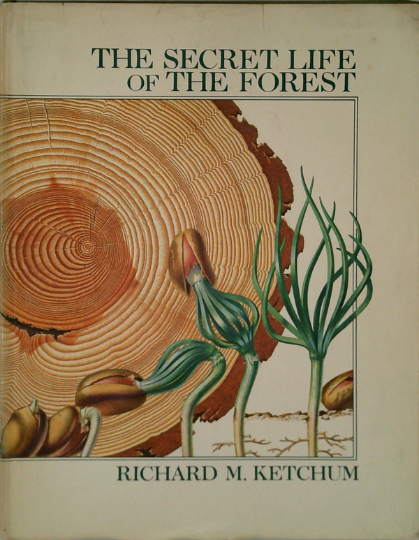 The Secret Life Of The Forest