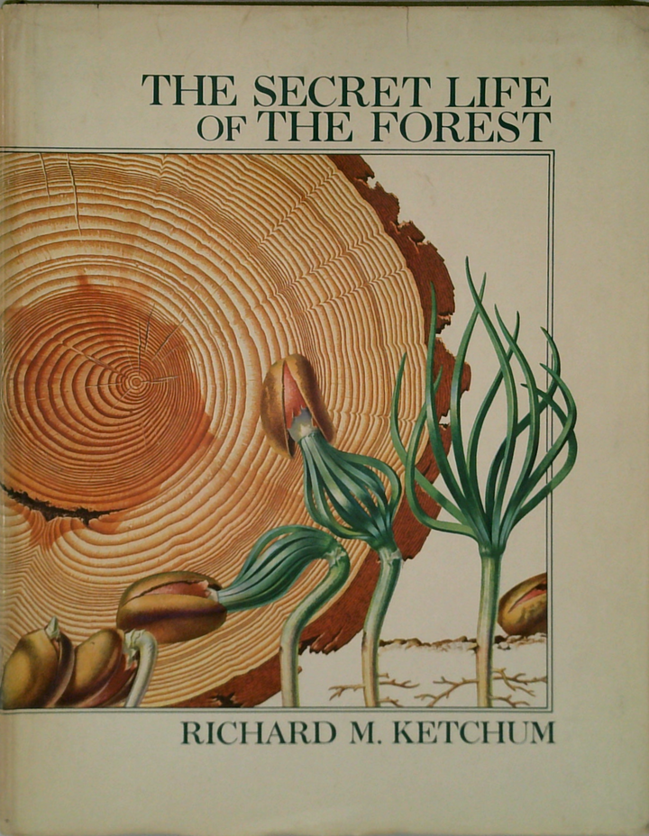 The Secret Life Of The Forest