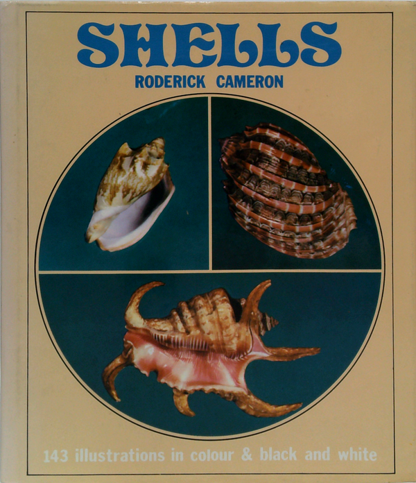 Shells