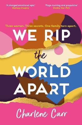 We Rip the World Apart: A sweeping story about motherhood, race and secrets