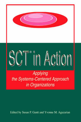 SCT? in Action: Applying the Systems-Centered Approach in