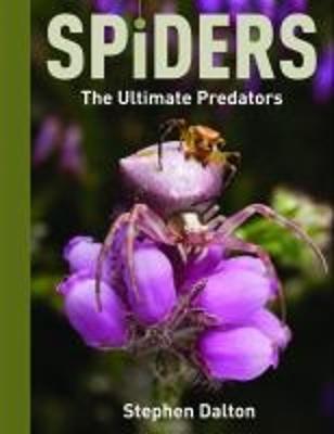 Spiders: The Ultimate Predators