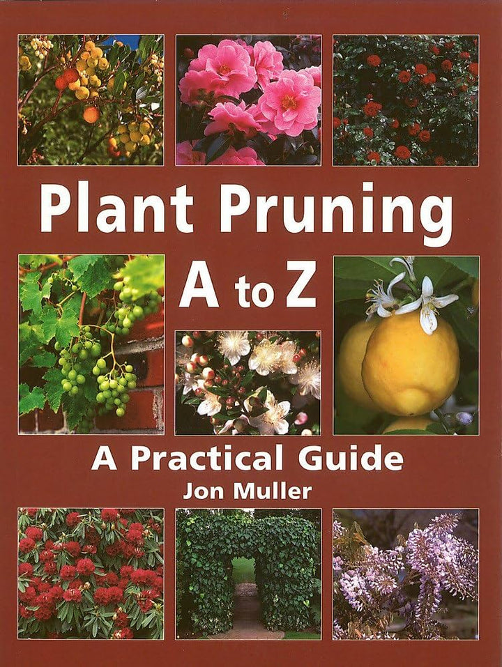 Plant Pruning A to Z: A Practical Guide