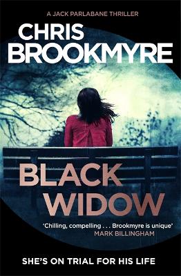 Black Widow: Award-Winning Crime Novel of the Year