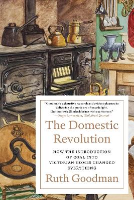 The Domestic Revolution: How the Introduction of Coal into Victorian