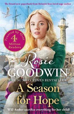 A Season for Hope: The heartwarming tale from Britain's best-loved saga author