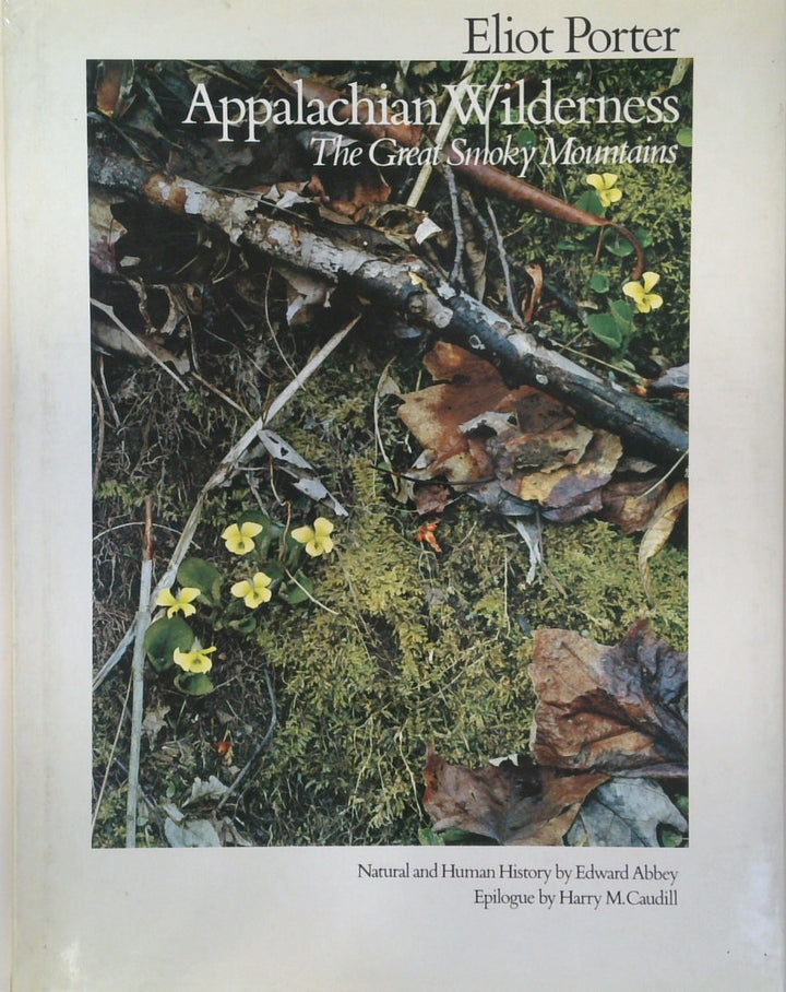 Appalachian Wilderness: The Great Smoky Mountains