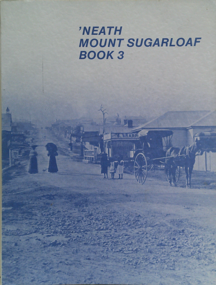 'Neath Mount Sugarloaf Book 3