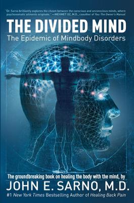 The Divided Mind: The Epidemic of Mindbody Disorders