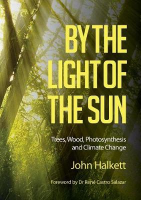 By the Light of the Sun: Trees, Wood, Photosynthesis and Climate