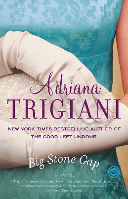 Big Stone Gap: A Novel