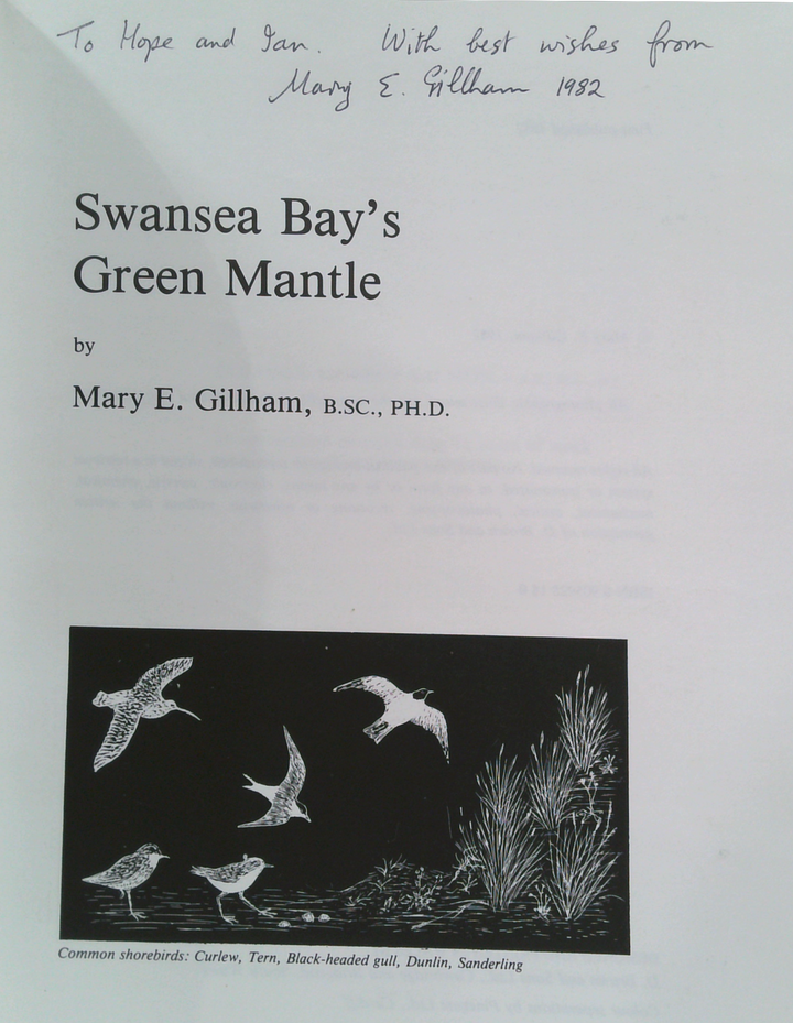 Swansea Bay's Green Mantle (SIGNED)