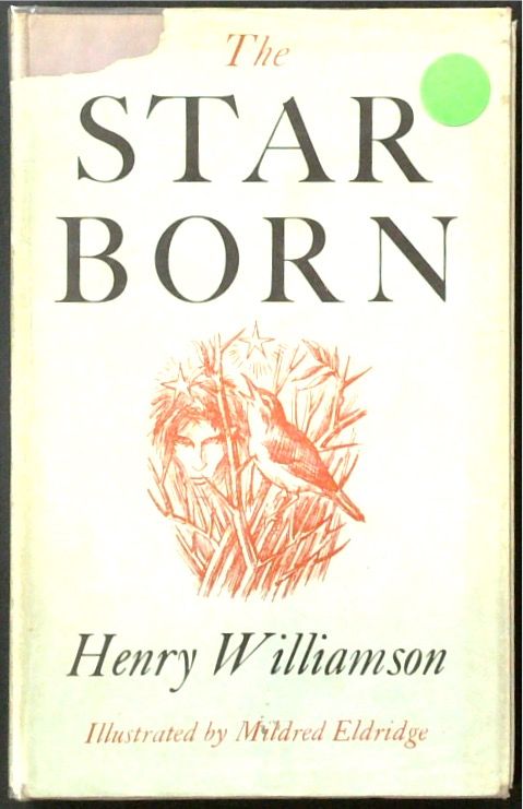 The Star-Born