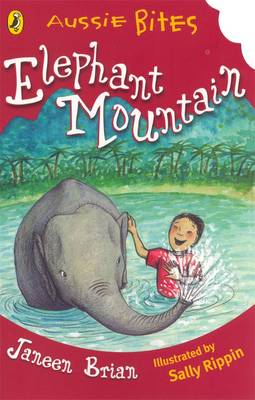 Elephant Mountain