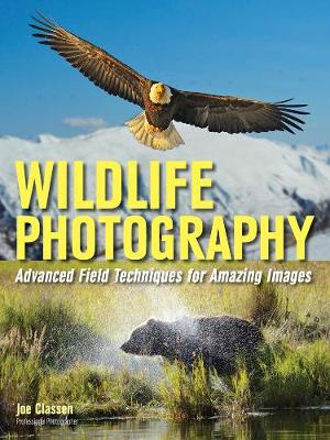 Wildlife Photography: Advanced Field Techniques for Tracking Elusive