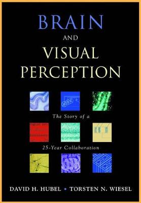 Brain and Visual Perception: The Story of a 25-year Collaboration