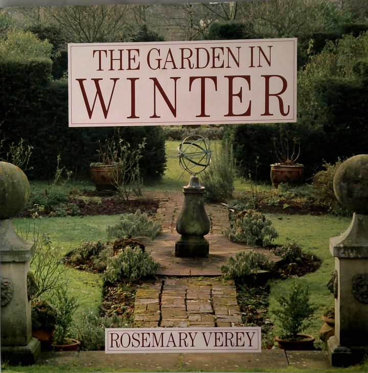 The Garden In Winter