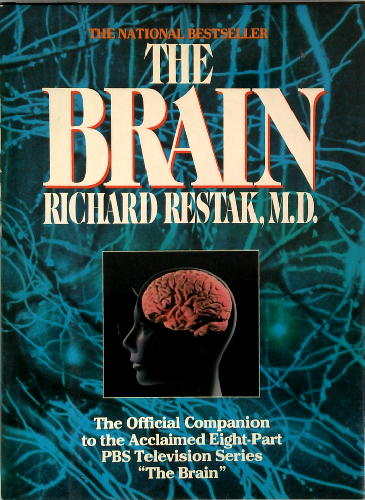 The Brain