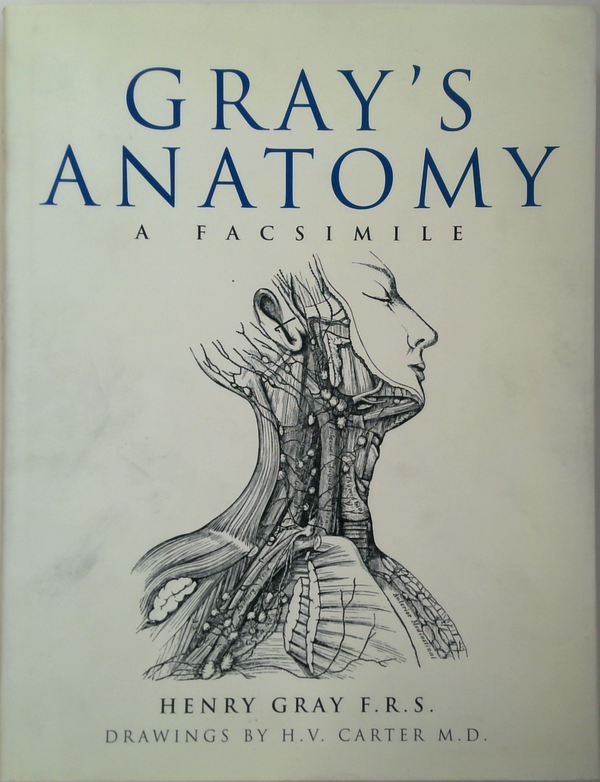 Gray's Anatomy: A Facsimile