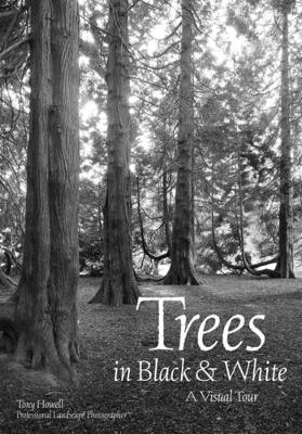 Trees In Black & White: A Visual Tour