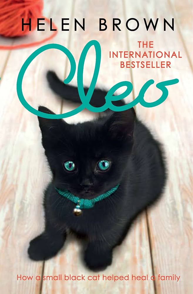 Cleo: How a small black cat helped heal a family