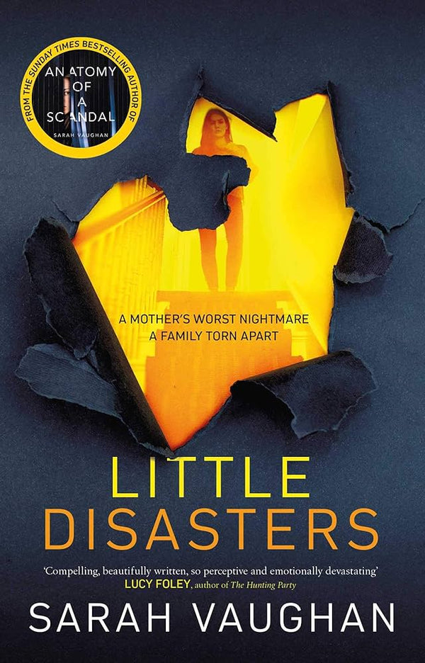 Little Disasters: the compelling and thought-provoking new novel from the author of the Sunday Times bestseller Anatomy of a Scandal